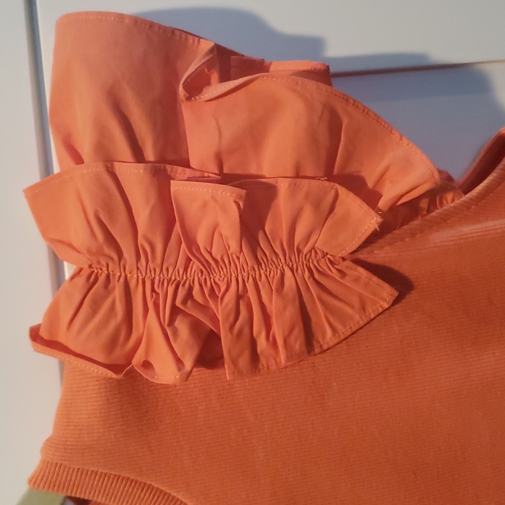 Anthroplogy Ruffled sleeve Top - Picture 3 of 9